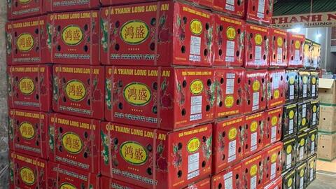 Thanh long ruột đỏ xuất khẩu giá rẻ giật mình chưa đến 10k/kg