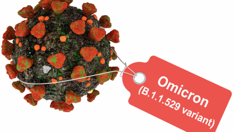 Omicron: nguy cơ tử vong giảm 90% so với Delta, nhập viện giảm một nửa