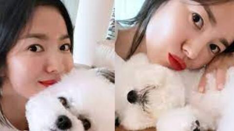 Song Hye Kyo hé lộ cuộc sống hàng ngày bên nhân vật đặc biệt, bất chấp việc bị "gọi tên" khi Hyun Bin tuyên bố kết hôn