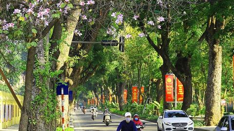 Dự báo thời tiết ngày 28/2: Bắc Bộ nắng ấm, nhiệt độ cao nhất trên 24 độ C