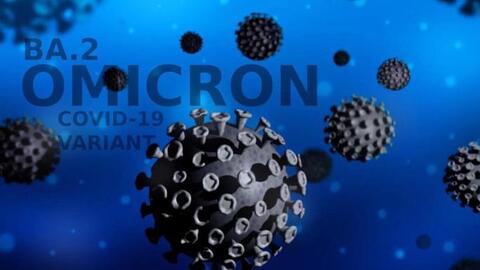 Thuốc kháng virus, kháng thể đơn dòng rất hiệu quả ở biến chủng BA.2 Omicron