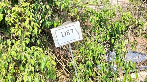 "Cò đất" cắm bảng quy hoạch giả để thổi giá đất