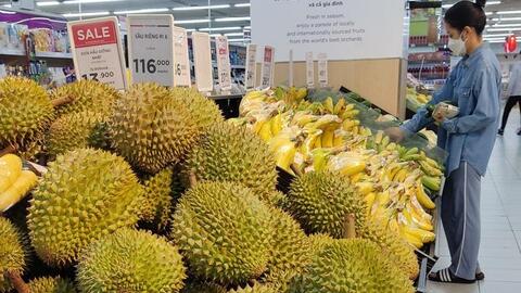 Vào chính vụ, giá sầu riêng vẫn cao