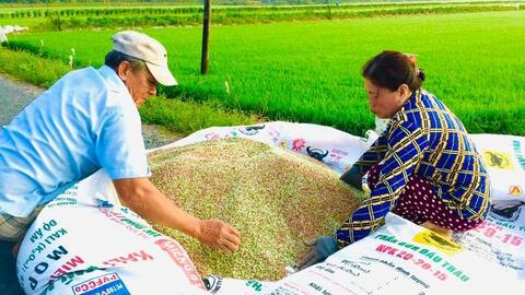 Nỗ lực kìm giá phân bón