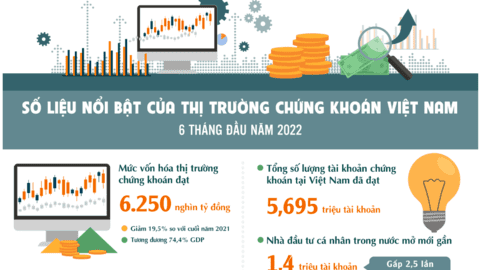 Thị trường chứng khoán Việt Nam 6 tháng đầu năm
