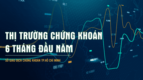 Thị trường chứng khoán trên HOSE nửa đầu năm 2022