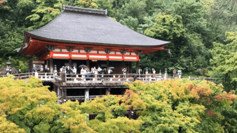 Mùa thu với món lẩu Sumo ở cố đô Kyoto