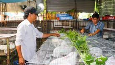 Bà Rịa - Vũng Tàu: Các ngành kinh tế đều tăng trưởng khá