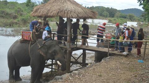 Nỗi lo bảo tồn