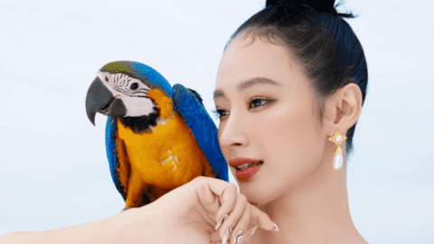 Người đẹp Việt tung ảnh lung linh hậu Tết Quý Mão