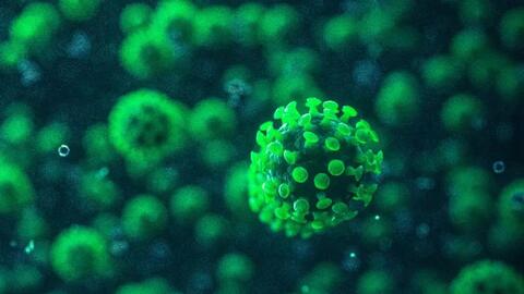 CDC Mỹ: Biến chủng COVID-19 mới EG.5 dần chiếm lĩnh