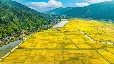<a href="/van-hoa" title="Văn hóa" rel="dofollow">Văn hóa</a>
