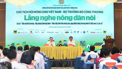 <a href="/tin-kinh-te" title="Tin kinh tế" rel="dofollow">Tin kinh tế</a>