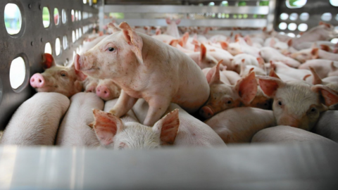 <a href="/tin-kinh-te" title="Tin kinh tế" rel="dofollow">Tin kinh tế</a>