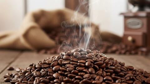 Giá cà phê hôm nay 2/12/2025: Quay đầu giảm trở lại