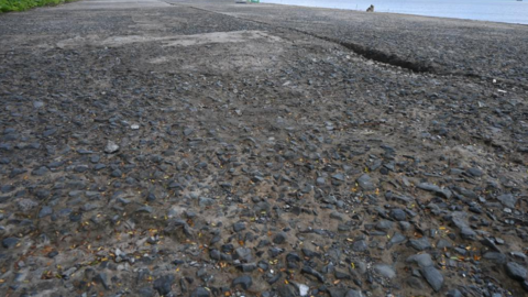 Đê biển xuống cấp, bờ sông sạt lở, Đồng Tháp đề xuất hơn 1.100 tỉ đồng khắc phục