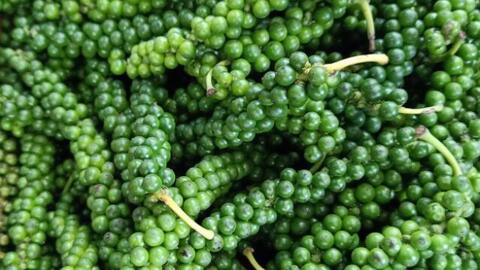 <a href="/tin-kinh-te" title="Tin kinh tế" rel="dofollow">Tin kinh tế</a>