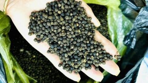 <a href="/tin-kinh-te" title="Tin kinh tế" rel="dofollow">Tin kinh tế</a>