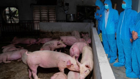 <a href="/tin-kinh-te" title="Tin kinh tế" rel="dofollow">Tin kinh tế</a>