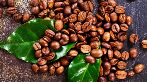 Giá cà phê hôm nay 19/12: Giảm mạnh gần 4.000 đồng/kg, chạm mốc 90.000 đồng