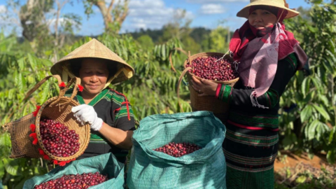 <a href="/tin-kinh-te" title="Tin kinh tế" rel="dofollow">Tin kinh tế</a>