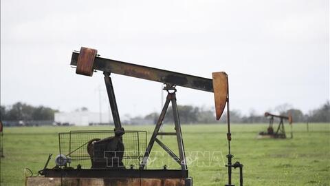 <a href="/tin-kinh-te" title="Tin kinh tế" rel="dofollow">Tin kinh tế</a>