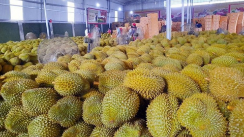 <a href="/tin-kinh-te" title="Tin kinh tế" rel="dofollow">Tin kinh tế</a>