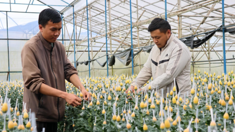 <a href="/tin-kinh-te" title="Tin kinh tế" rel="dofollow">Tin kinh tế</a>