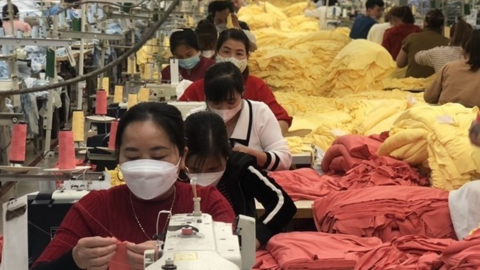 <a href="/van-hoa" title="Văn hóa" rel="dofollow">Văn hóa</a>