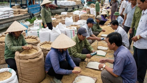 <a href="/tin-kinh-te" title="Tin kinh tế" rel="dofollow">Tin kinh tế</a>