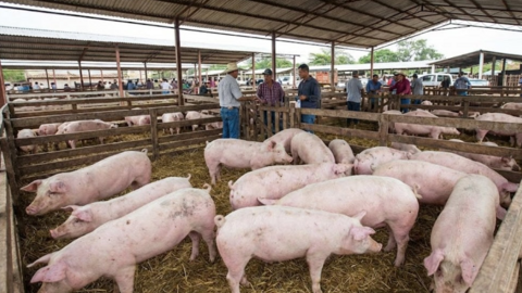 <a href="/tin-kinh-te" title="Tin kinh tế" rel="dofollow">Tin kinh tế</a>