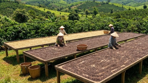 <a href="/tin-kinh-te" title="Tin kinh tế" rel="dofollow">Tin kinh tế</a>