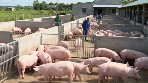 <a href="/tin-kinh-te" title="Tin kinh tế" rel="dofollow">Tin kinh tế</a>