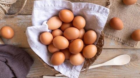 Thực phẩm giàu protein giúp người trên 60 tuổi tăng cơ bắp