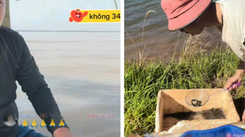 <a href="/so-hoa" title="Số hóa" rel="dofollow">Số hóa</a>