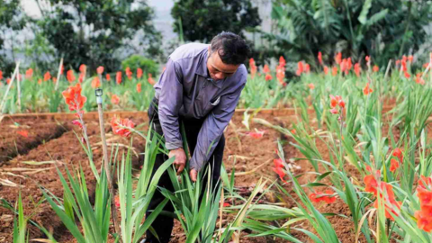 <a href="/tin-kinh-te" title="Tin kinh tế" rel="dofollow">Tin kinh tế</a>