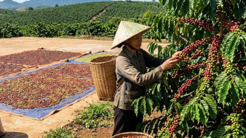 <a href="/tin-kinh-te" title="Tin kinh tế" rel="dofollow">Tin kinh tế</a>