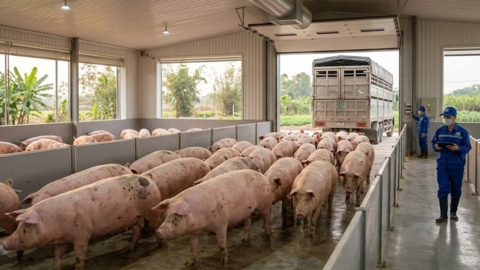 <a href="/tin-kinh-te" title="Tin kinh tế" rel="dofollow">Tin kinh tế</a>