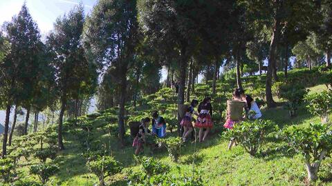 <a href="/van-hoa" title="Văn hóa" rel="dofollow">Văn hóa</a>