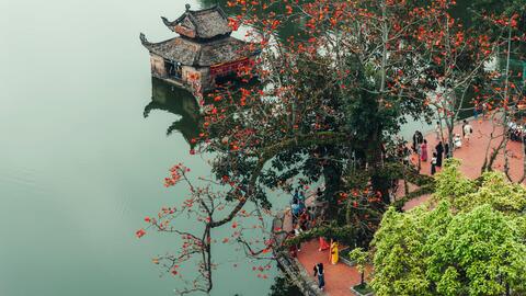 Mùa hoa gạo như thắp lửa từ phố thị đến làng quê ngoại ô Hà Nội