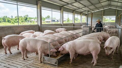 <a href="/tin-kinh-te" title="Tin kinh tế" rel="dofollow">Tin kinh tế</a>