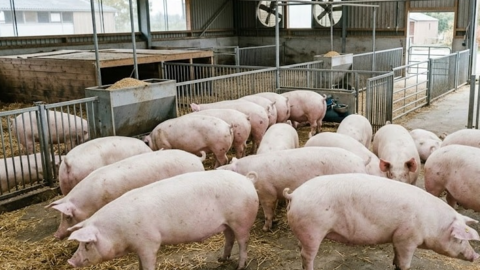 <a href="/tin-kinh-te" title="Tin kinh tế" rel="dofollow">Tin kinh tế</a>