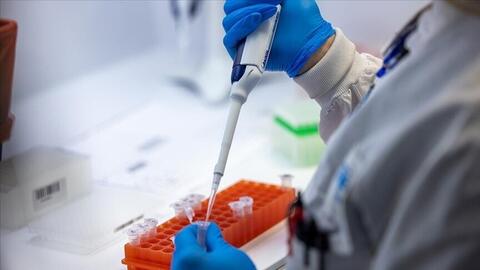 Ba ca tử vong do virus Hanta, WHO nhận định nguy cơ lây lan thấp