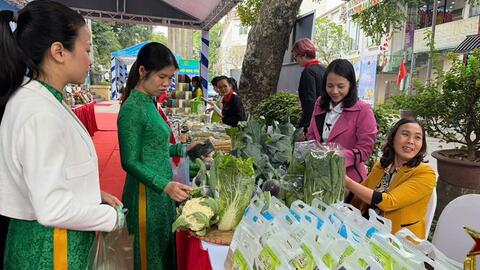 <a href="/tin-kinh-te" title="Tin kinh tế" rel="dofollow">Tin kinh tế</a>