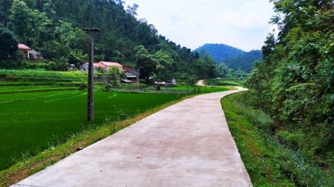 <a href="/van-hoa" title="Văn hóa" rel="dofollow">Văn hóa</a>