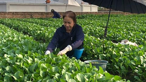 <a href="/tin-kinh-te" title="Tin kinh tế" rel="dofollow">Tin kinh tế</a>