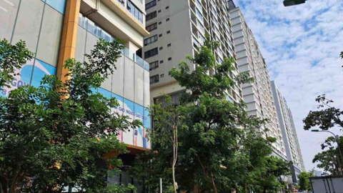 <a href="/tin-kinh-te" title="Tin kinh tế" rel="dofollow">Tin kinh tế</a>