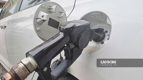 <a href="/tin-kinh-te" title="Tin kinh tế" rel="dofollow">Tin kinh tế</a>