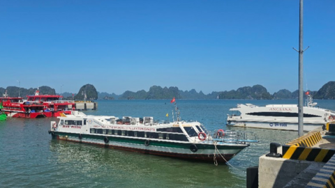 <a href="/tin-kinh-te" title="Tin kinh tế" rel="dofollow">Tin kinh tế</a>