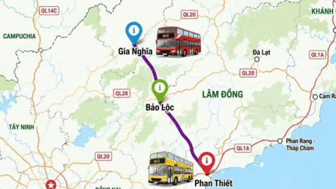 <a href="/tin-kinh-te" title="Tin kinh tế" rel="dofollow">Tin kinh tế</a>